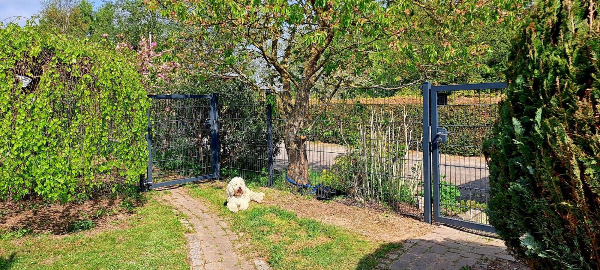 Fewo Sonne Rovershagen Buitenkant foto